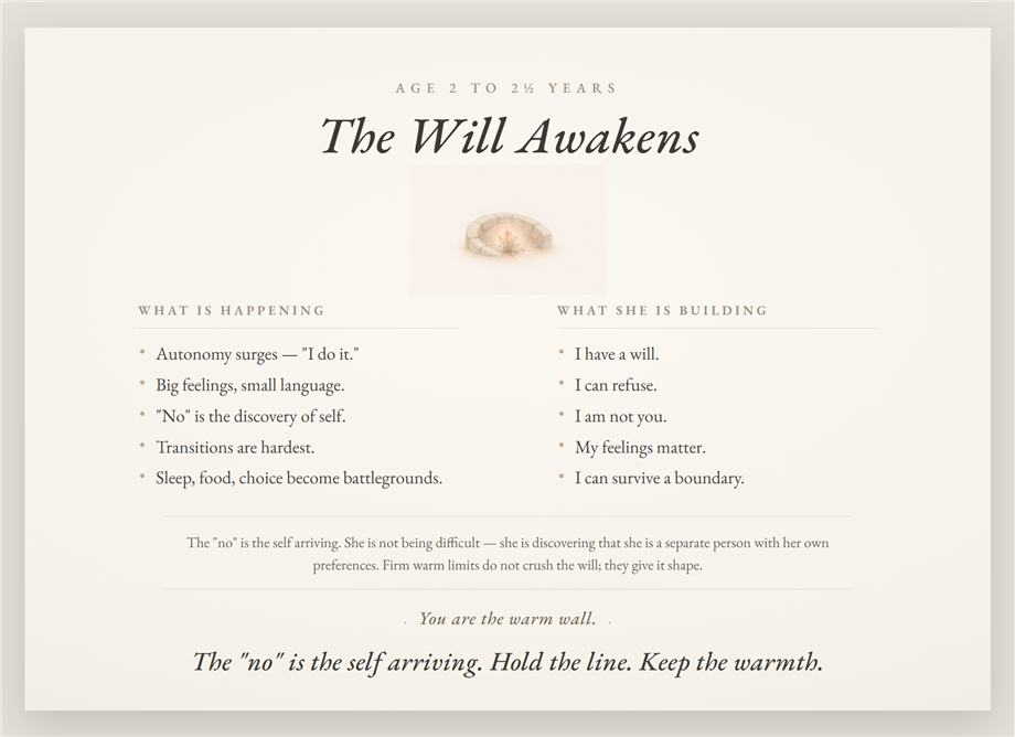 Poster 04 — The Will Awakens, age 2 to 2 and a half