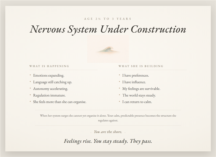 Poster 05 — Nervous System Under Construction, age 2 and a half to 3