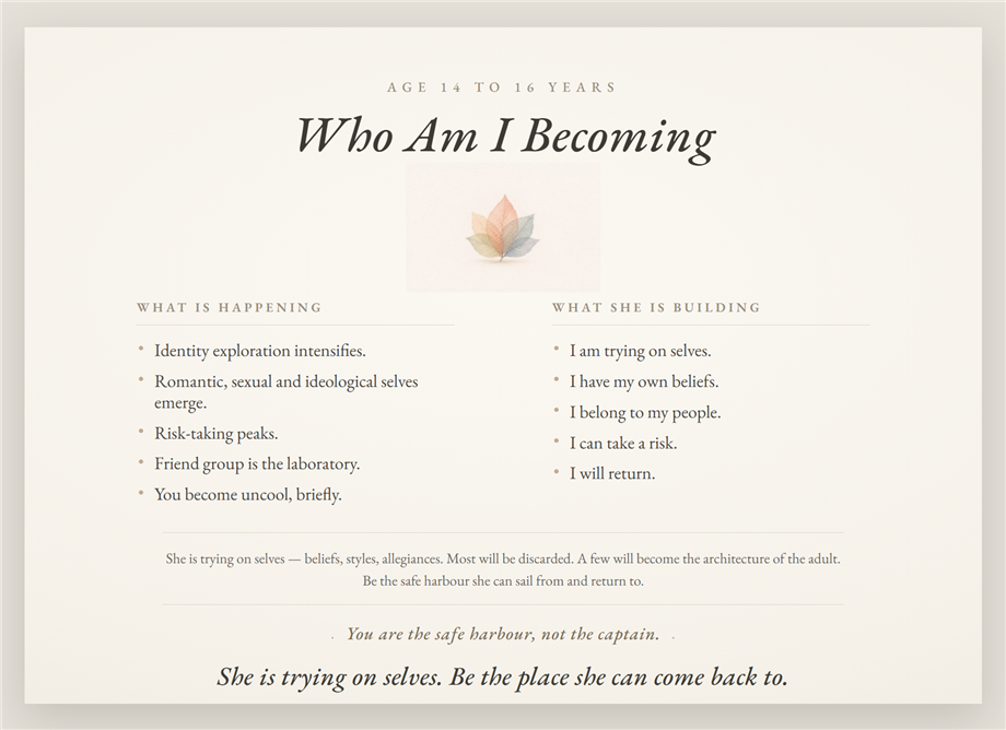 Poster 12 — Who Am I Becoming, age 14 to 16